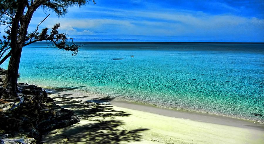 Turquoise Caribbean beach